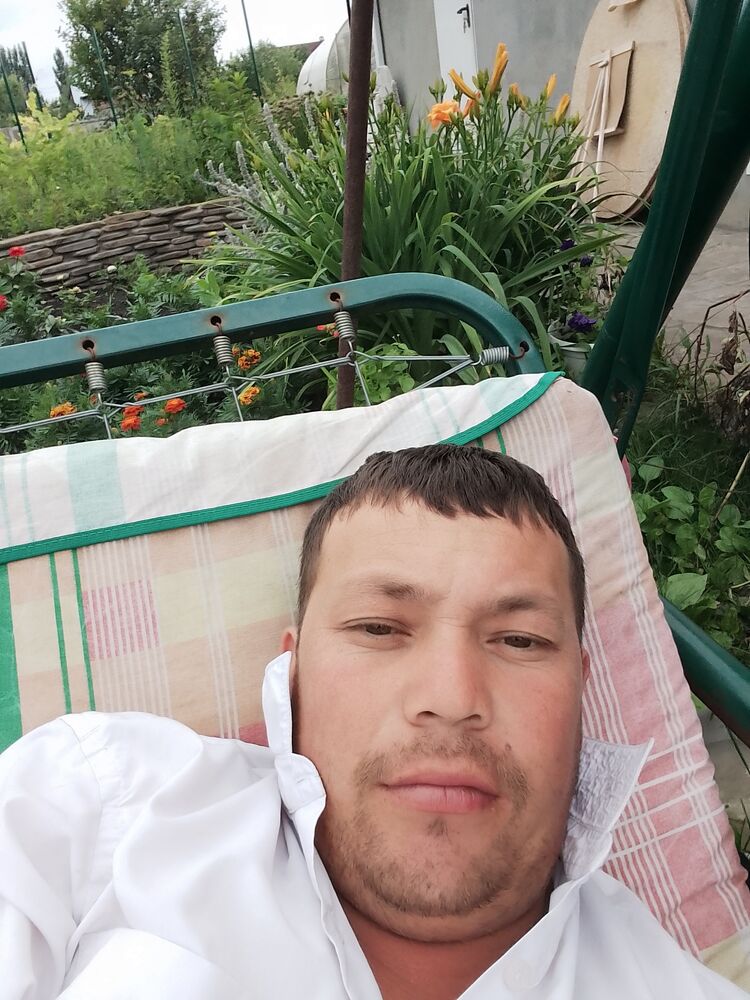  36236048  , 31 ,    