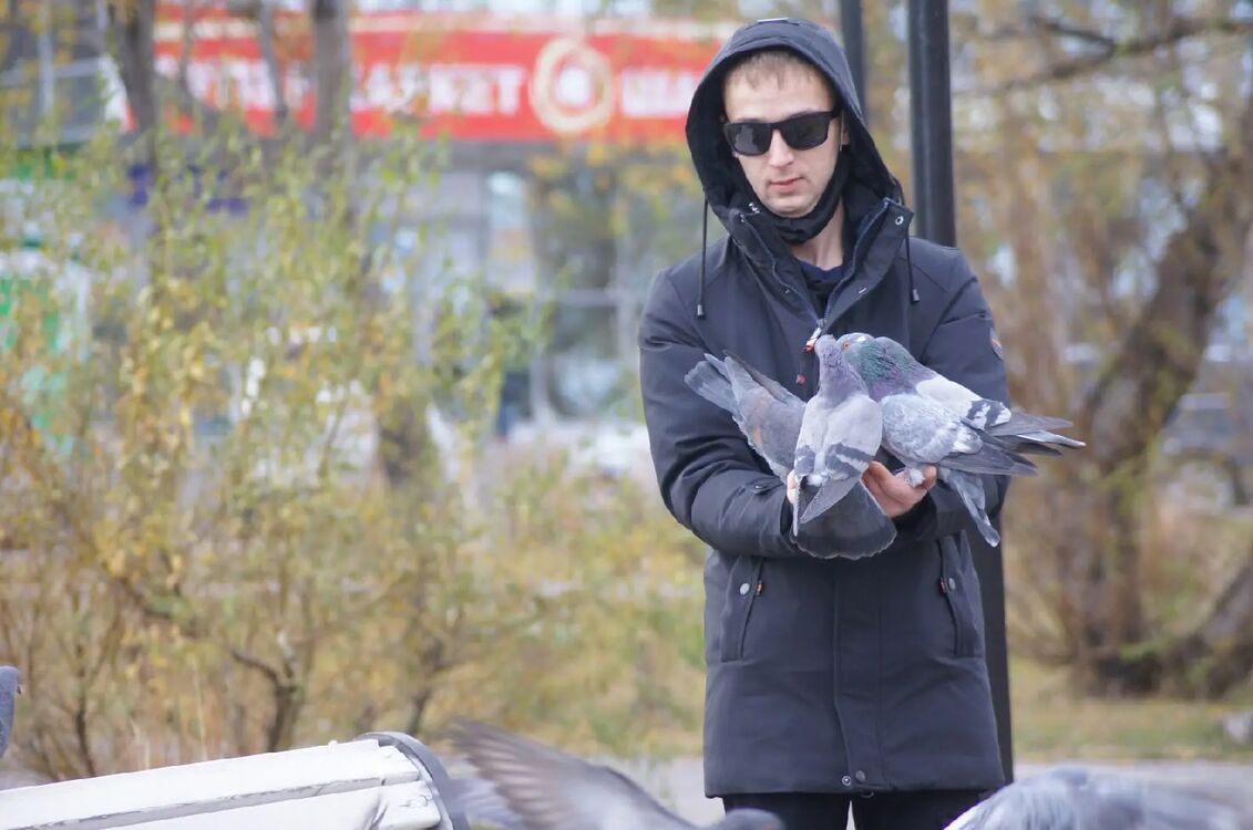 ���������� �������������-����������, ���� ������� Dima, 29 ���, ������������ ��� ������, ����� � ���������, c�������� ���������, ���������