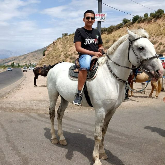 ���� 37409938 ����� �����, 25 ���, ���� ���������� � ��������