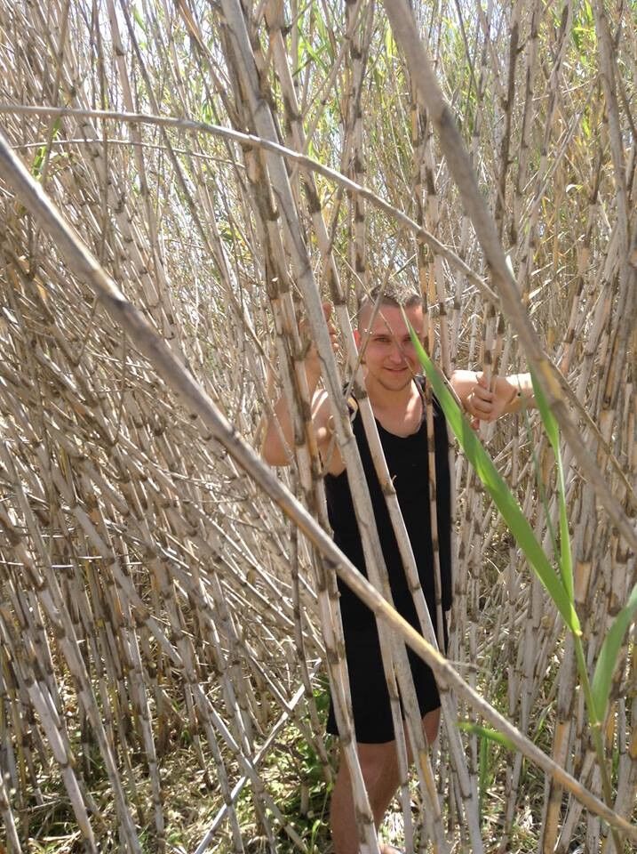 ���������� ����, ���� ������� ������, 39 ���, ������������ ��� ������