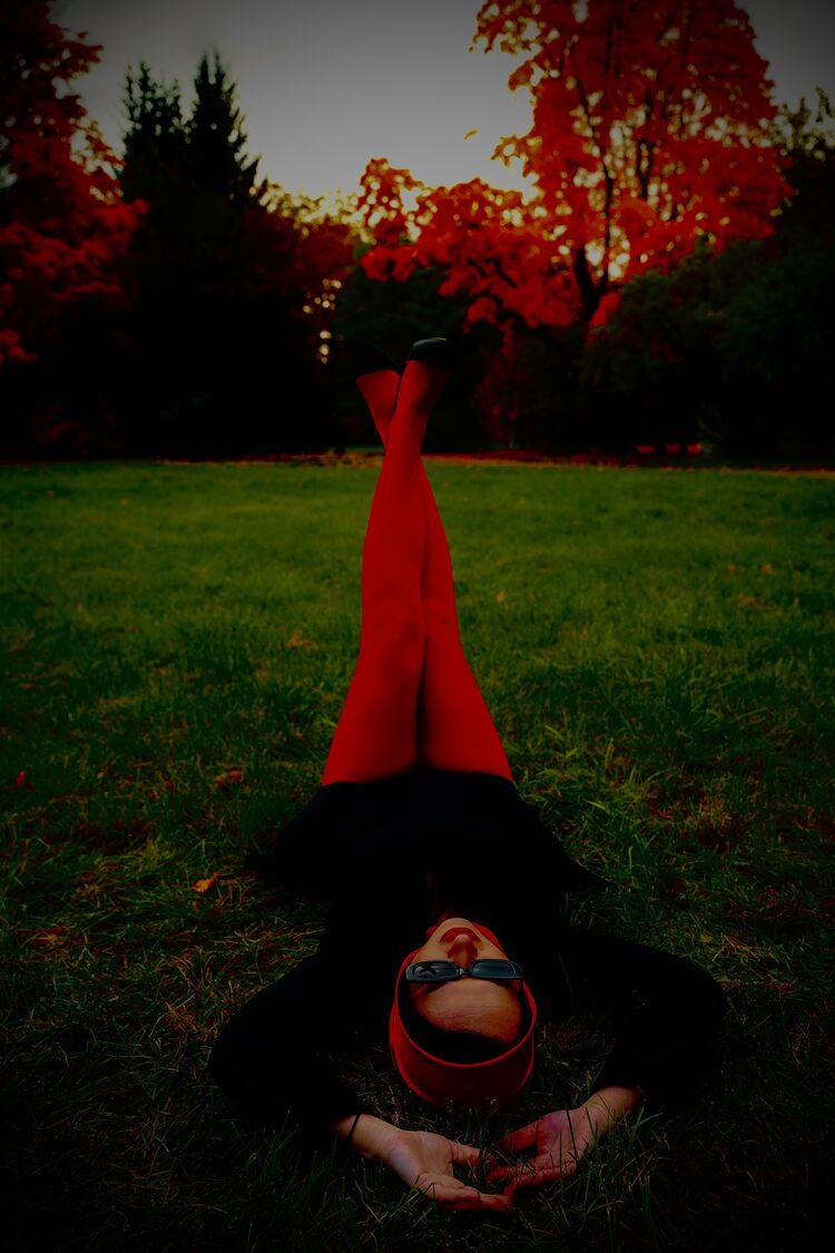  54488908  , 44 ,    -