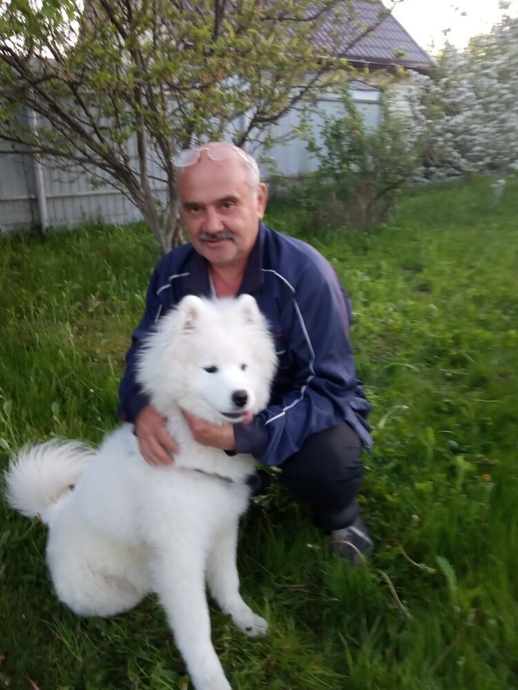 ���� 26668458 ������� �����, 43 ����, ���� ���������� � ����