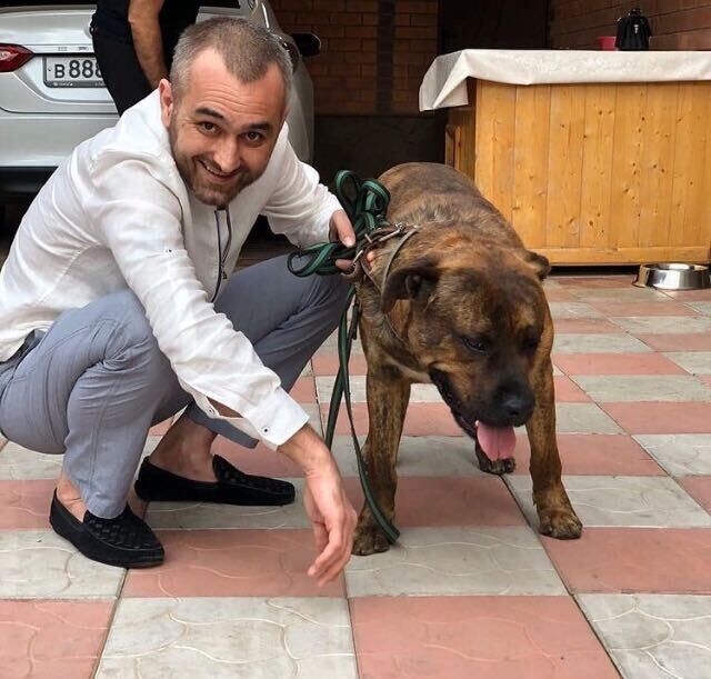 ���������� �����������, ���� ������� ����, 40 ���, ������������ ��� ������, c�������� ���������, ���������