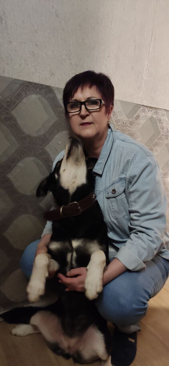 ���� 52517088 ������� ����, 60 ���, ���� ���������� � ������