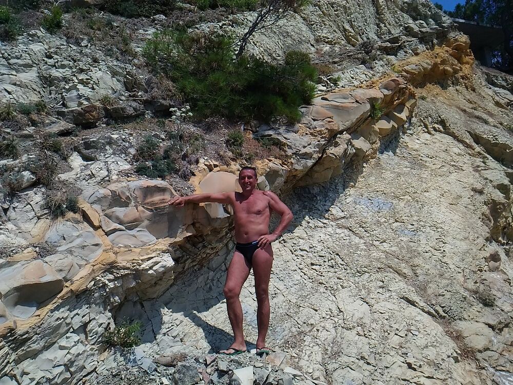  8203758  , 49 ,    