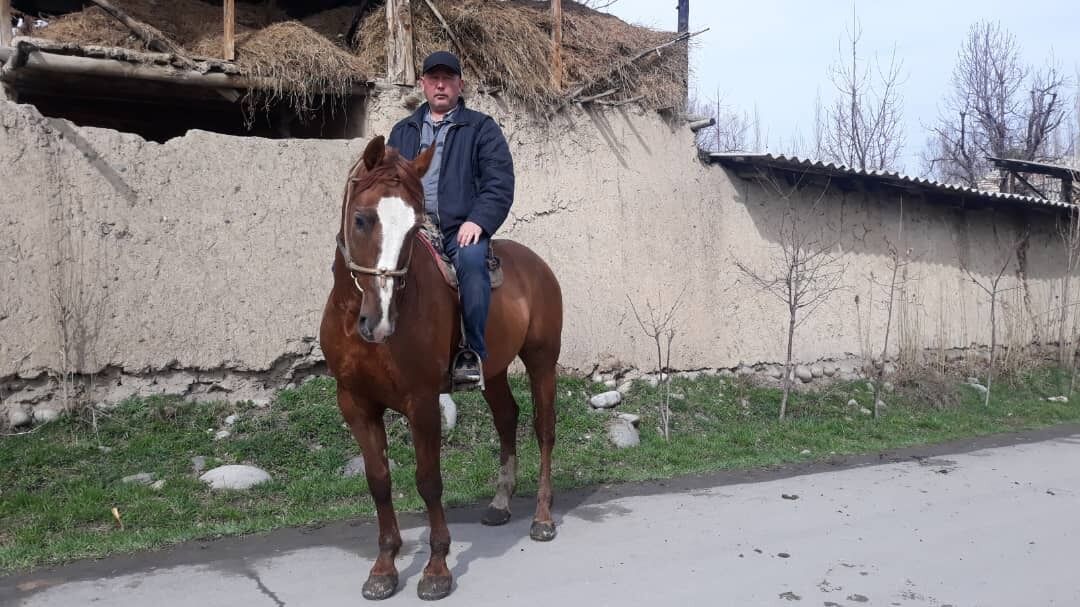 ���� 25428658 ������� ����, 35 ���, ���� ���������� � �������