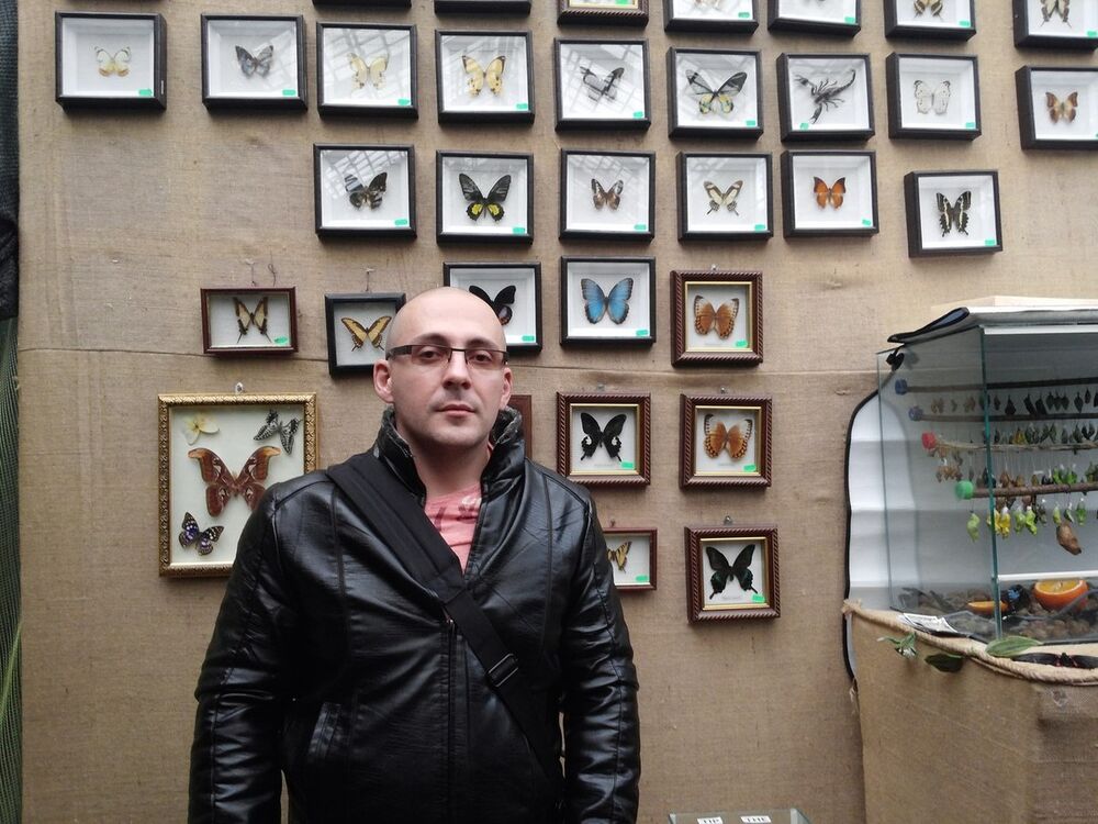 ���������� ������, ���� ������� �����, 40 ���, ������������ ��� ����� � ���������, c�������� ���������