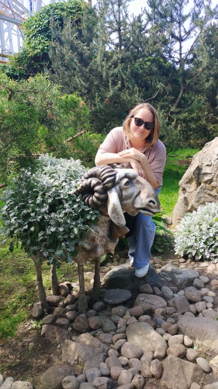  53374168  , 48 ,    -