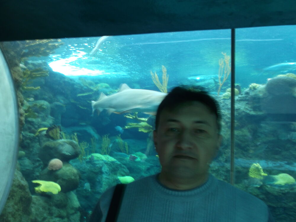 ���� 55123218 ������� Alik, 39 ���, ���� ���������� � ��������