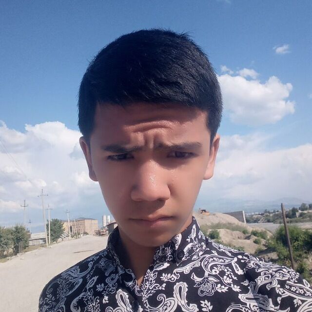  34338428  , 25 ,    