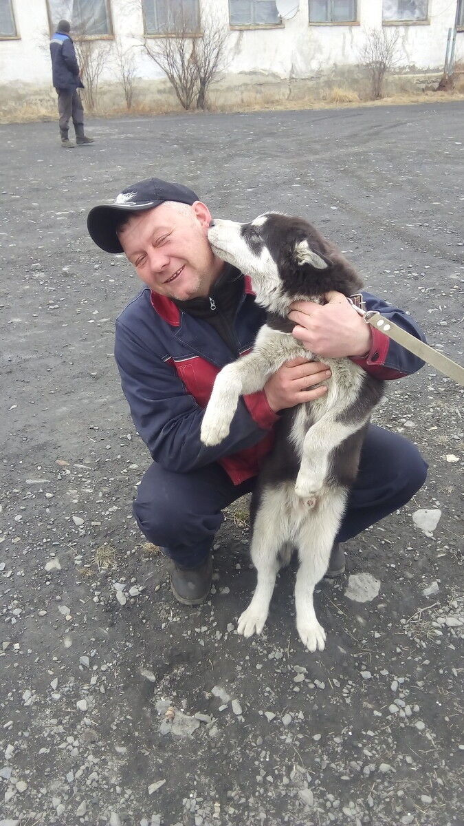 ���������� ������ ���, ���� ������� ��������, 45 ���, ������������ ��� ������, ����� � ���������, c�������� ���������, ���������