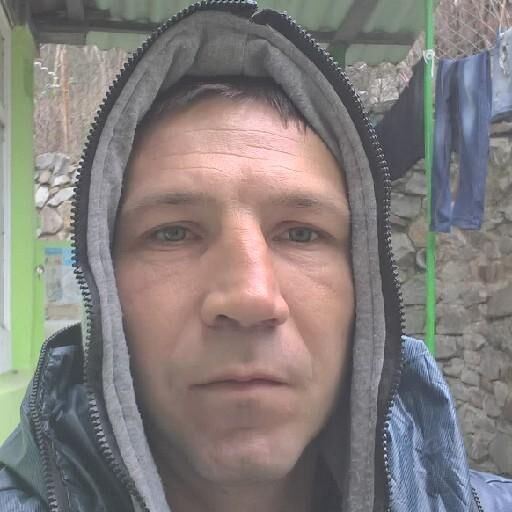  24780478  , 37 ,    