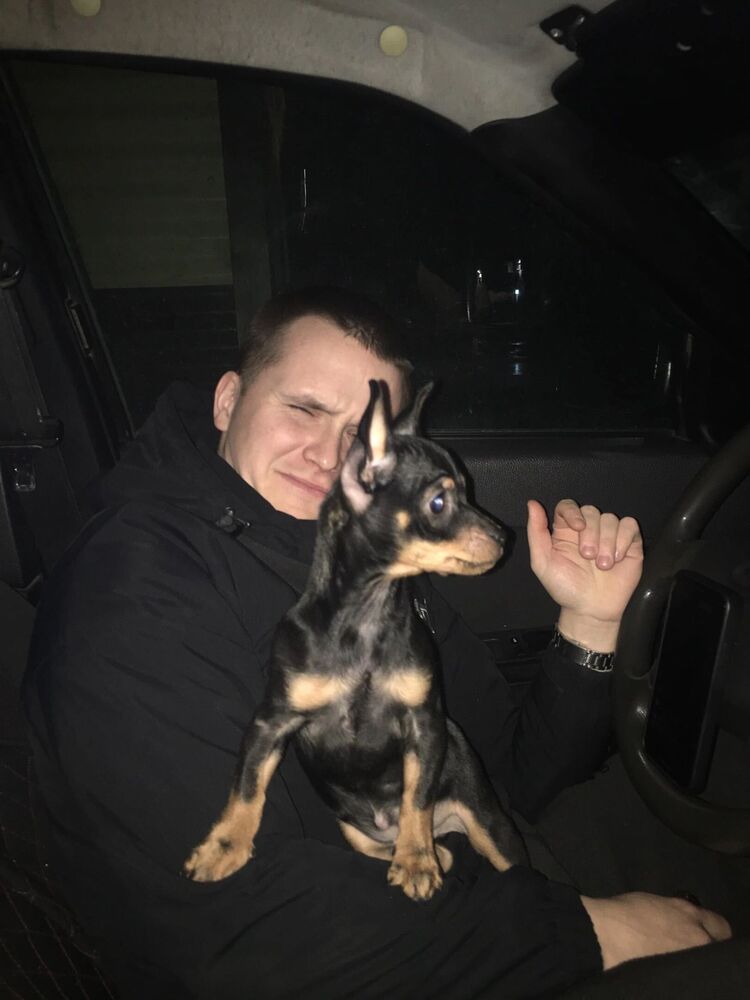 ���� 33757538 ������� �����, 26 ���, ���� ���������� � ����������