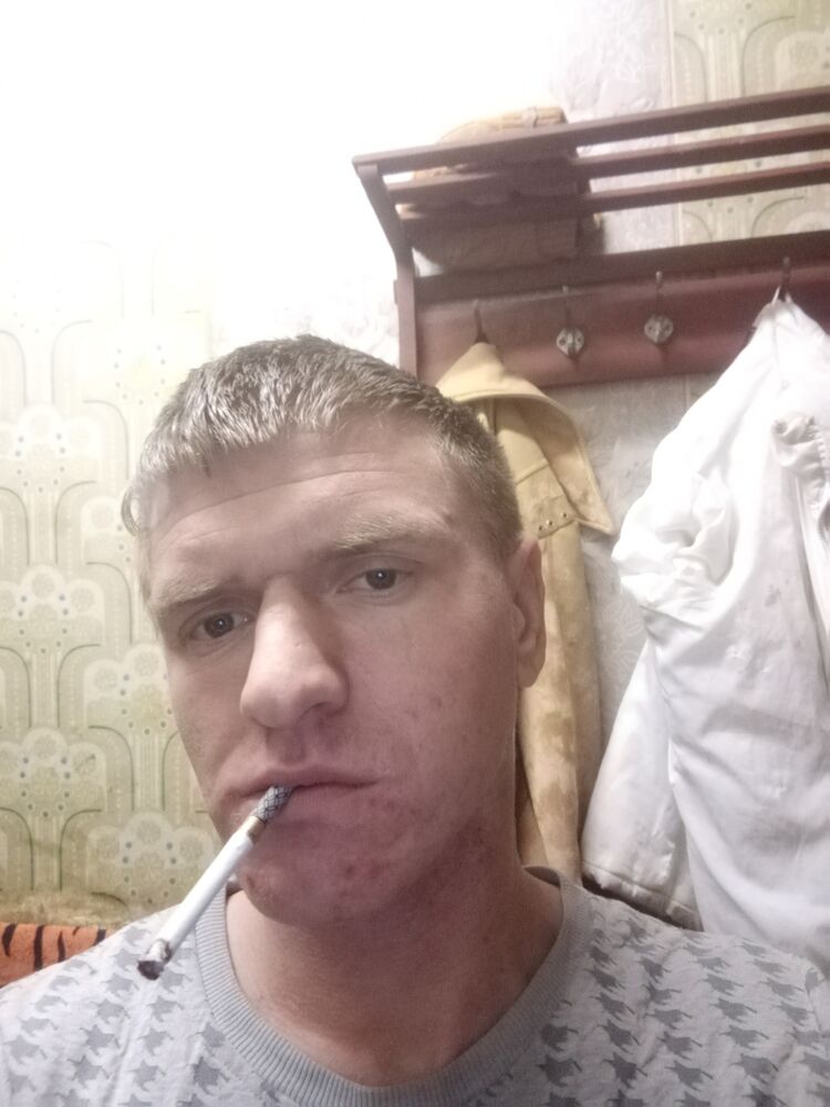  31446628  , 31 ,    
