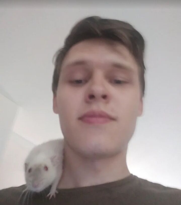  26404298  Maksim, 24 ,    -