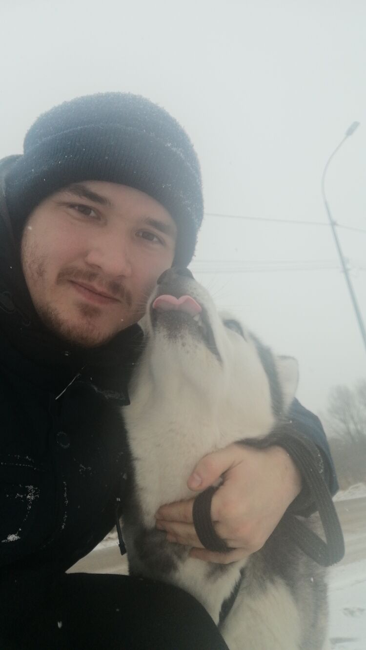 ���� 31385768 ������� �����, 26 ���, ���� ���������� � ������