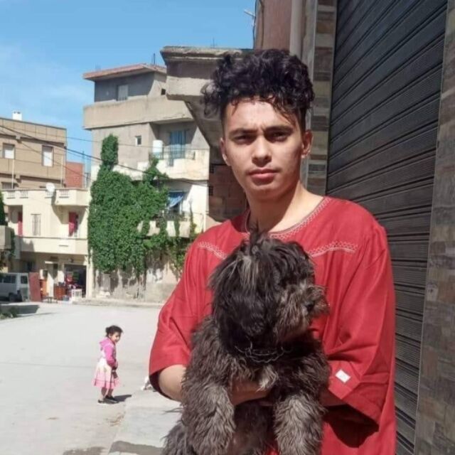 ���� 31396008 ����� Minou, 25 ���, ���� ���������� � ������