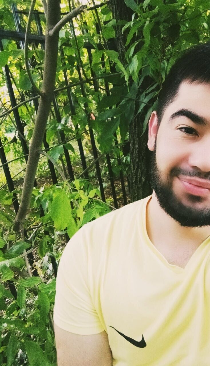  31618268  , 31 ,    -