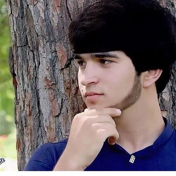  53669838  , 29 ,    -