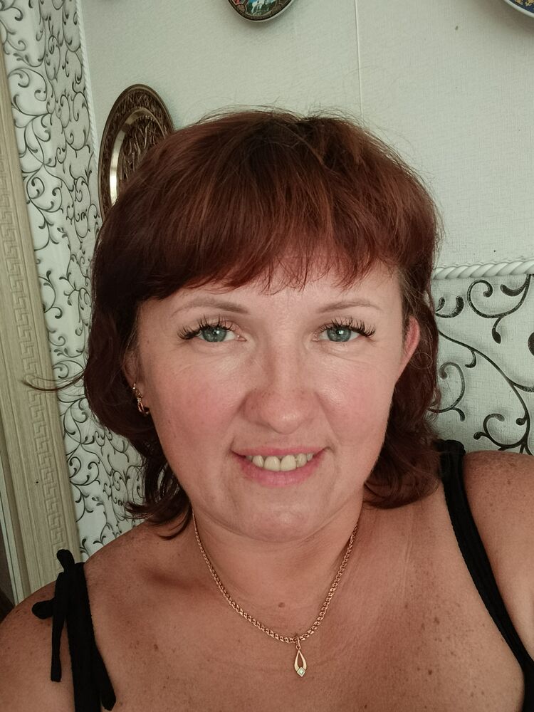  53346178  , 44 ,    -