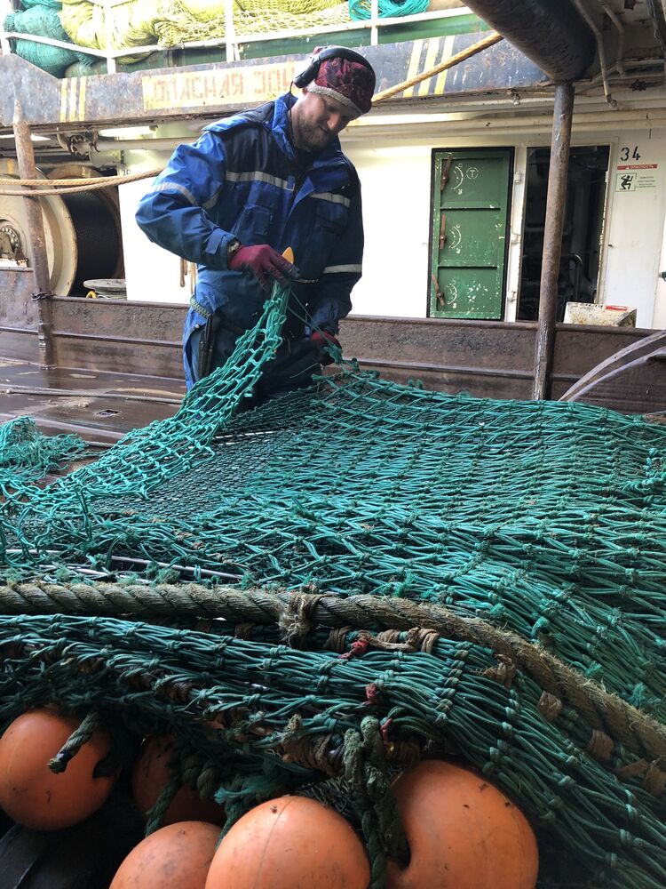 ���� 35262348 ������� �����, 35 ���, ���� ���������� � ������������