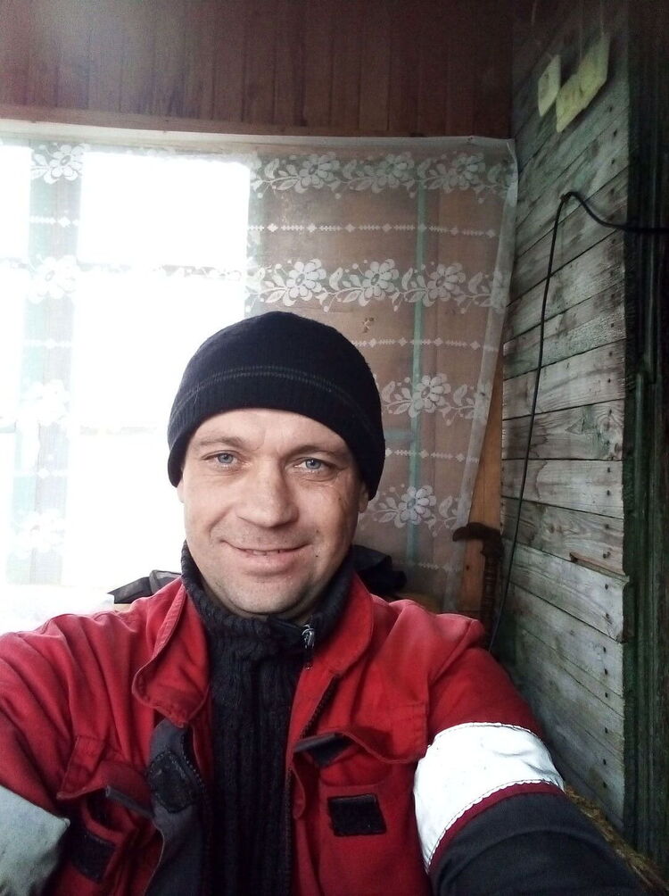  29320288  , 43 ,     