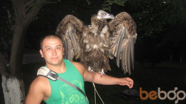 ���� 1141498 ������� �����, 40 ���, ���� ���������� � ��������