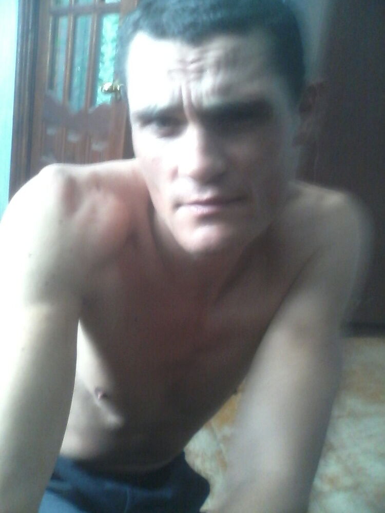  8654348  , 50 ,    