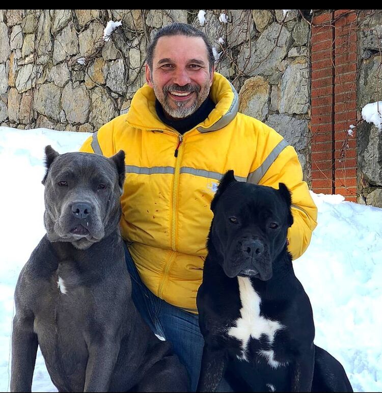  39802768  Grayson, 53 ,    Anna