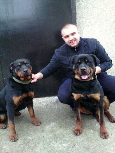 ���� 11596128 ������� ������, 38 ���, ���� ���������� � ��������