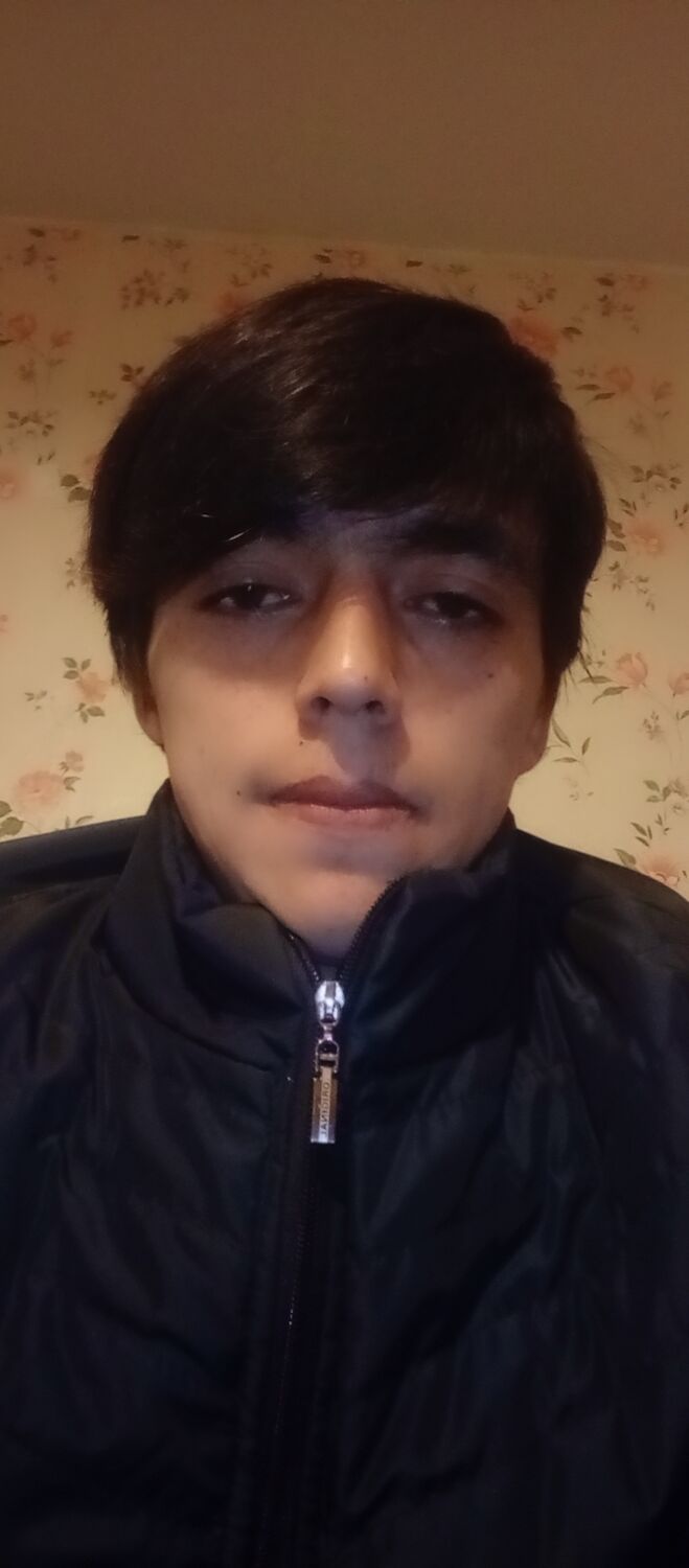  44834498  , 24 ,    