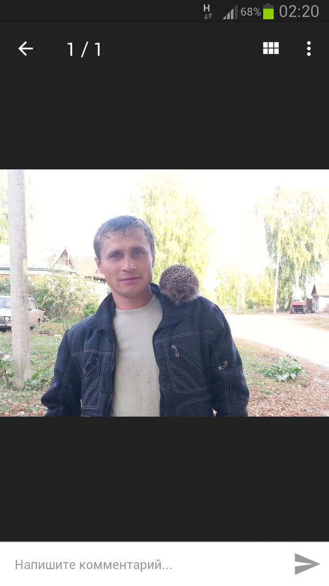   ,   , 41 ,   ,   , c 