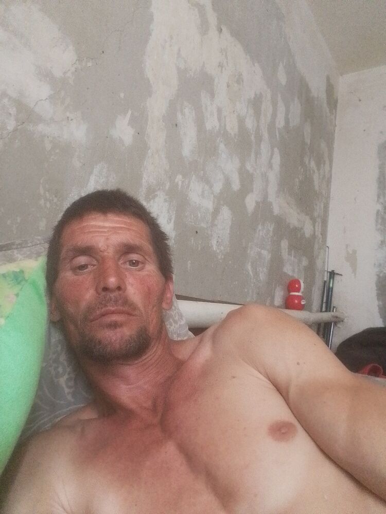  51937368  , 43 ,    
