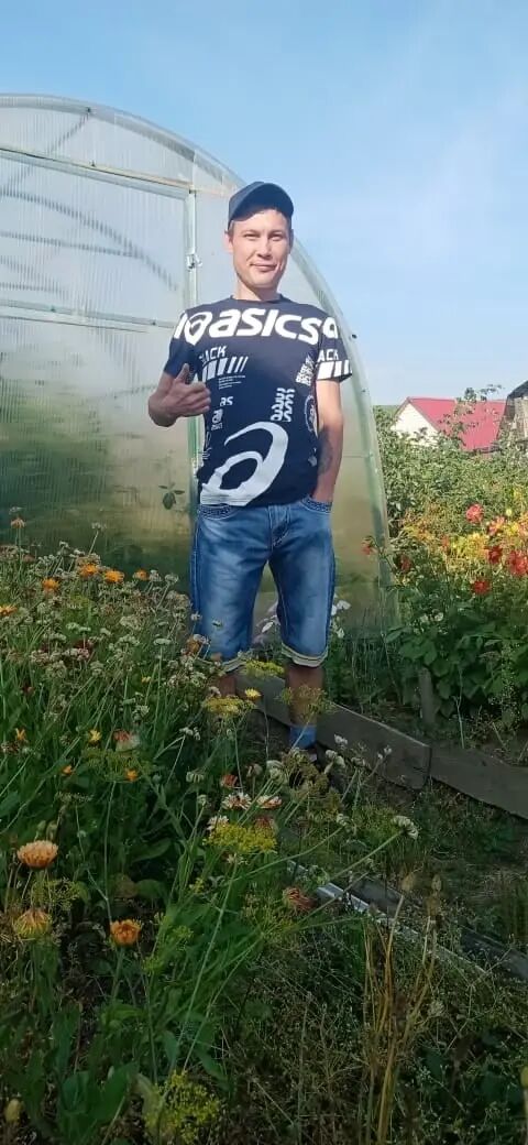  ,   Tema, 40 ,   ,   , 