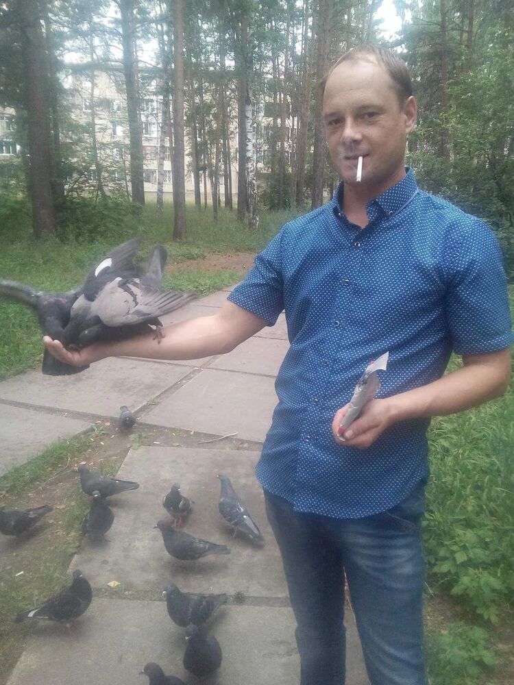  53568638   , 38 ,    