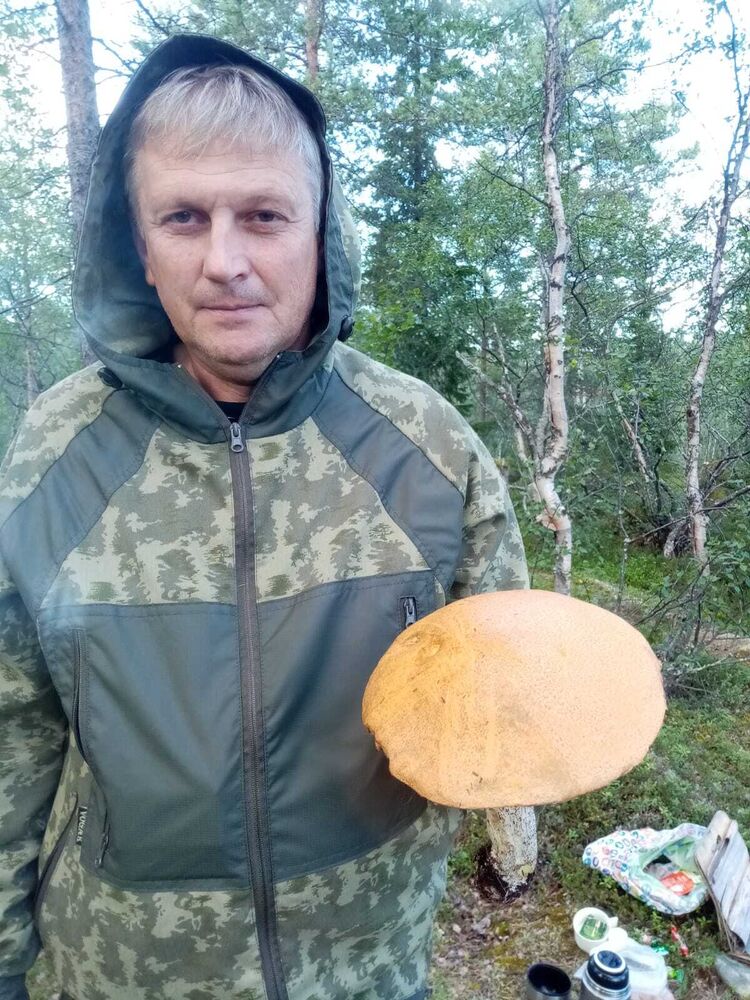 32045968  , 52 ,    