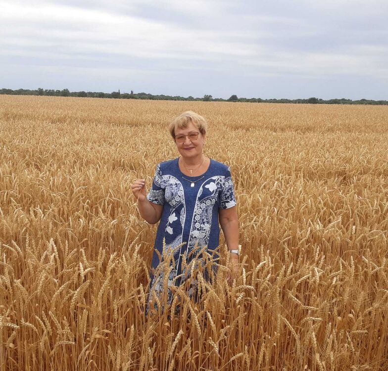 ���� 51052508 ������� ������, 72 ����, ���� ���������� � �����������