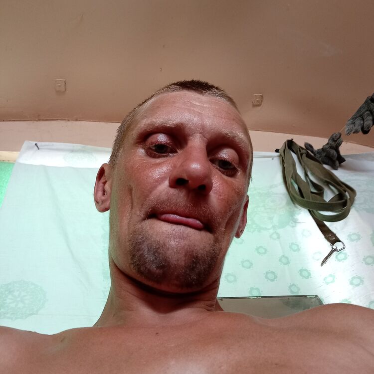   ,   , 41 ,   ,   , 