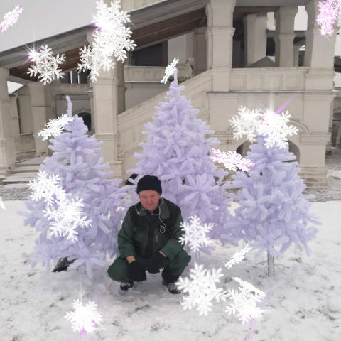 ���� 56258778 ������� ���, 51 ���, ���� ���������� � ������