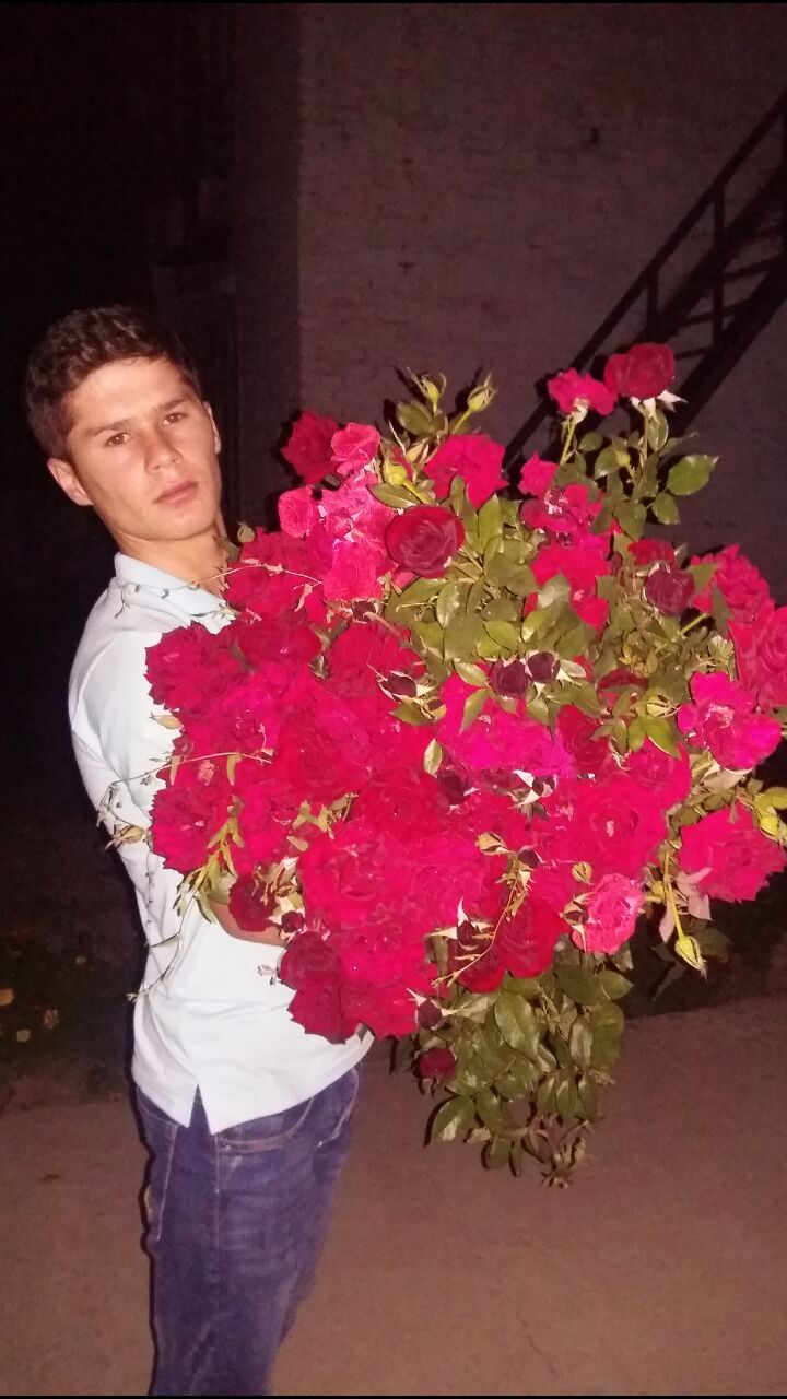 ���� 23978428 ������� ������, 26 ���, ���� ���������� � ��������-���������