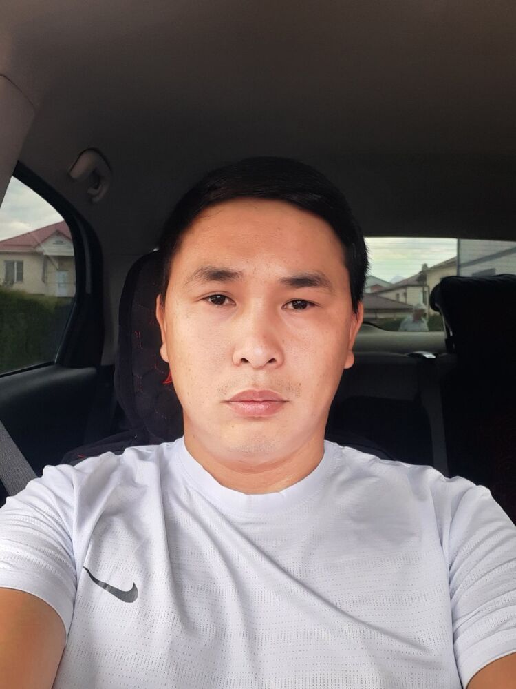  51338588  , 33 ,    -