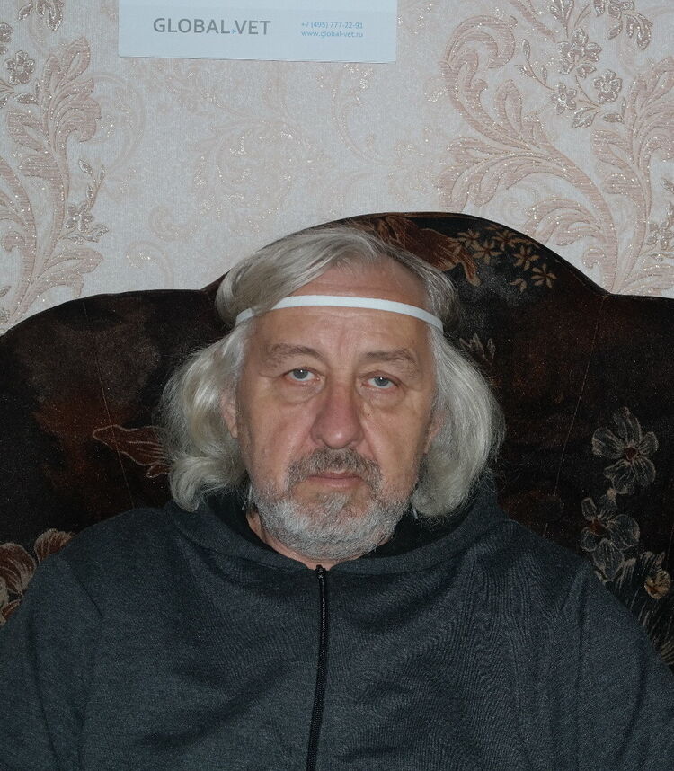  ,   , 65 ,     , c 
