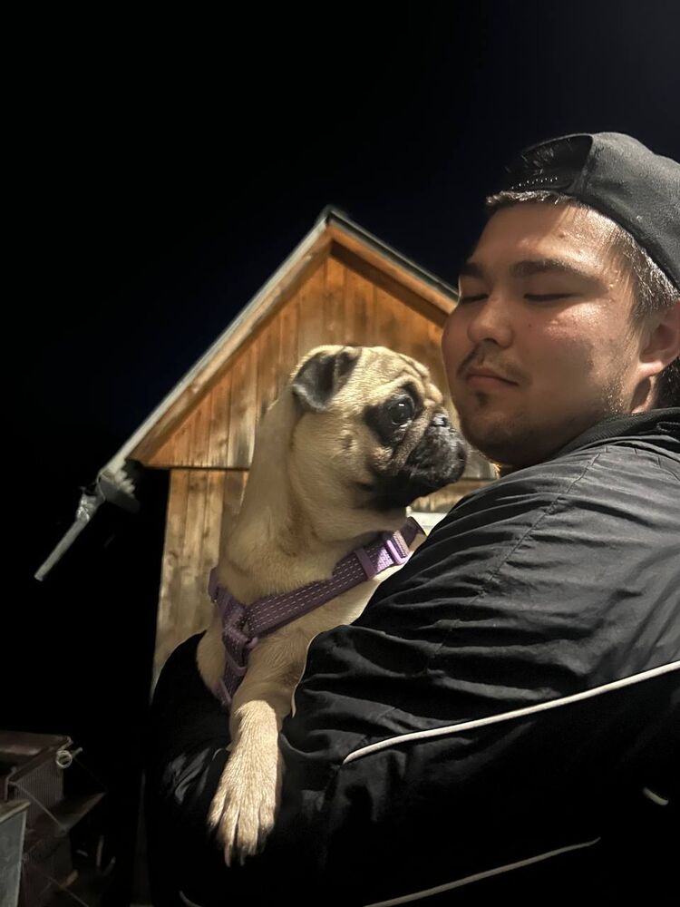 ���������� �����������, ���� ����� ������, 22 ����, ������������ ��� ������, ����� � ���������