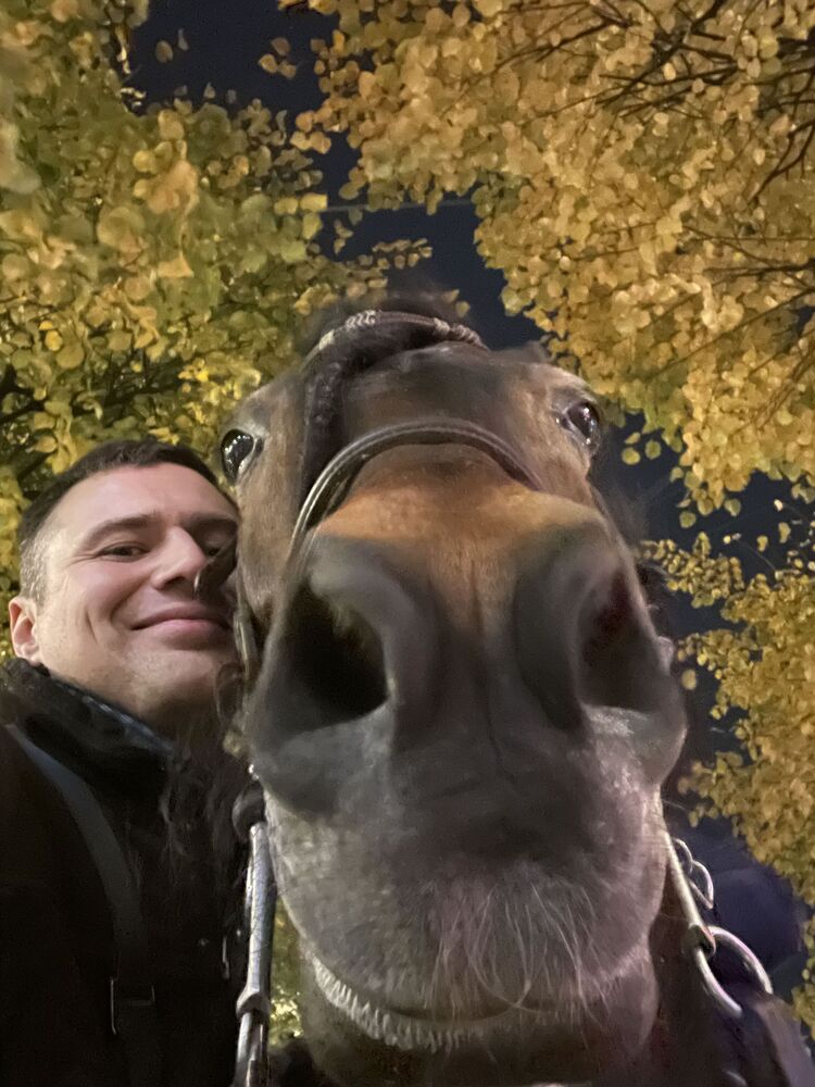  31605018  , 38 ,    -