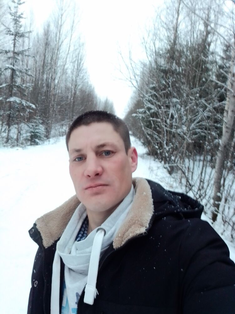  31640688  , 38 ,    -