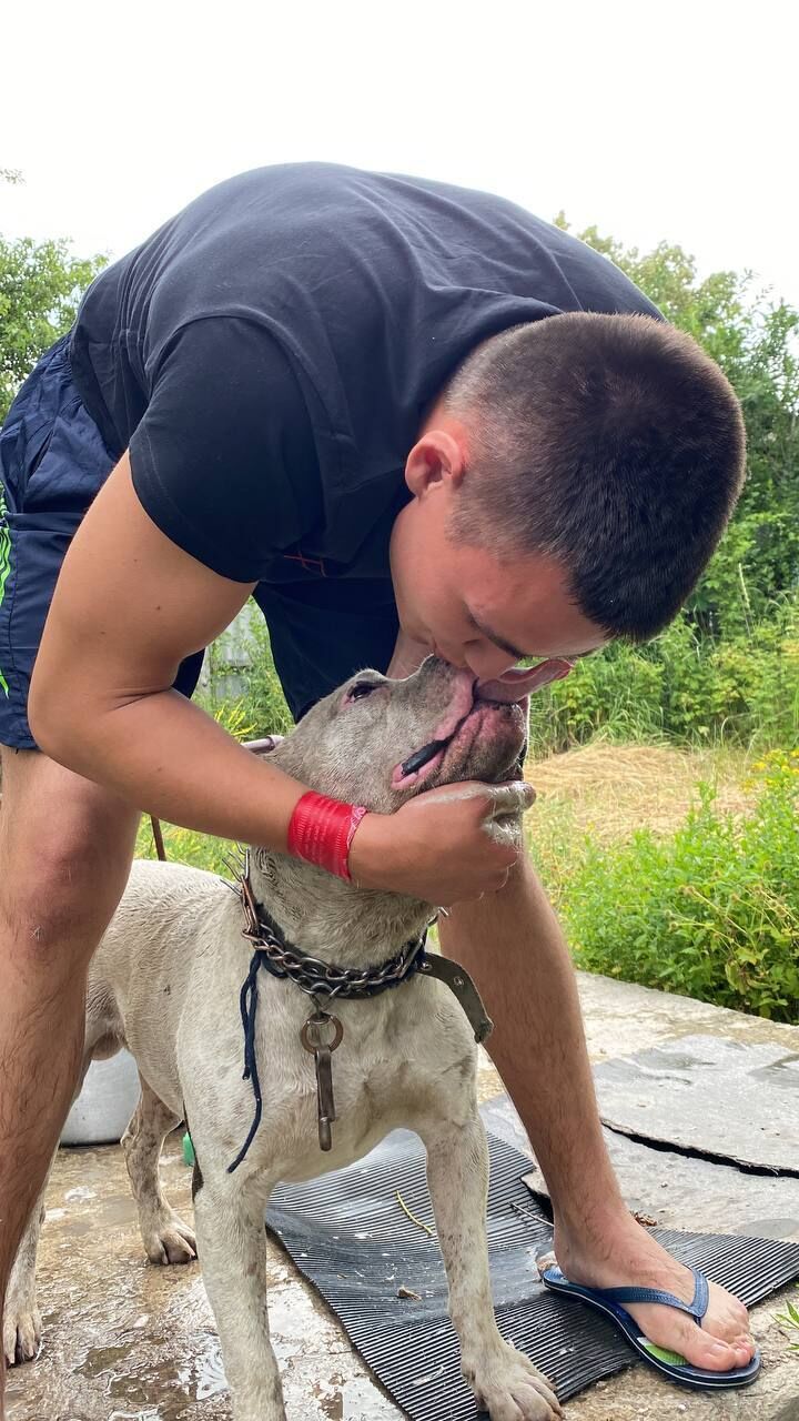 ���������� ������, ���� ����� �������, 25 ���, ������������ ��� ������, ����� � ���������