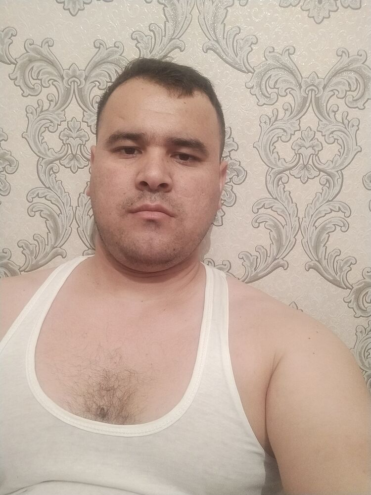  33463088  , 33 ,    