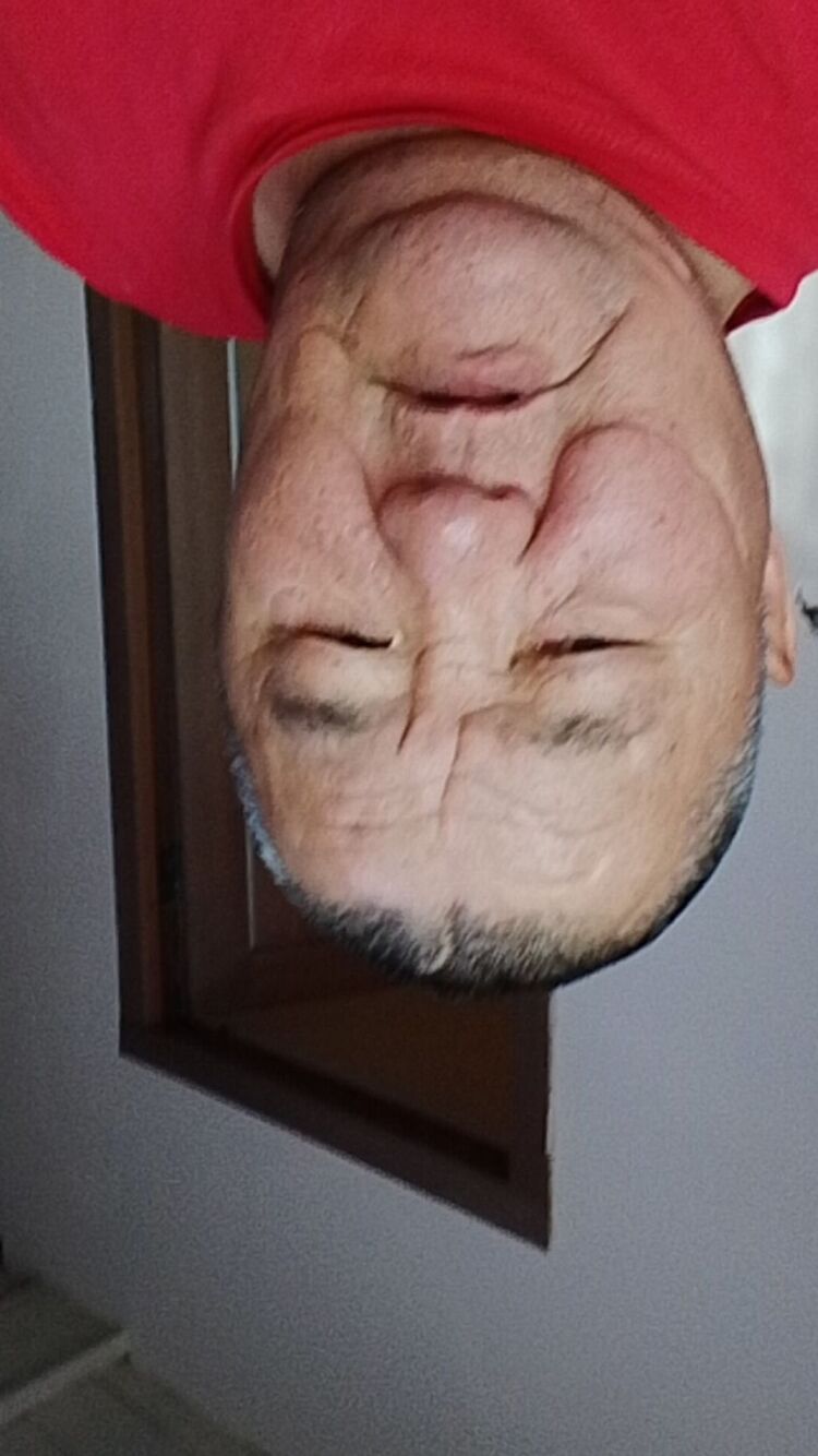 -,   , 54 ,   ,   