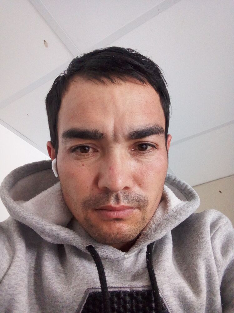  43980508  , 33 ,    
