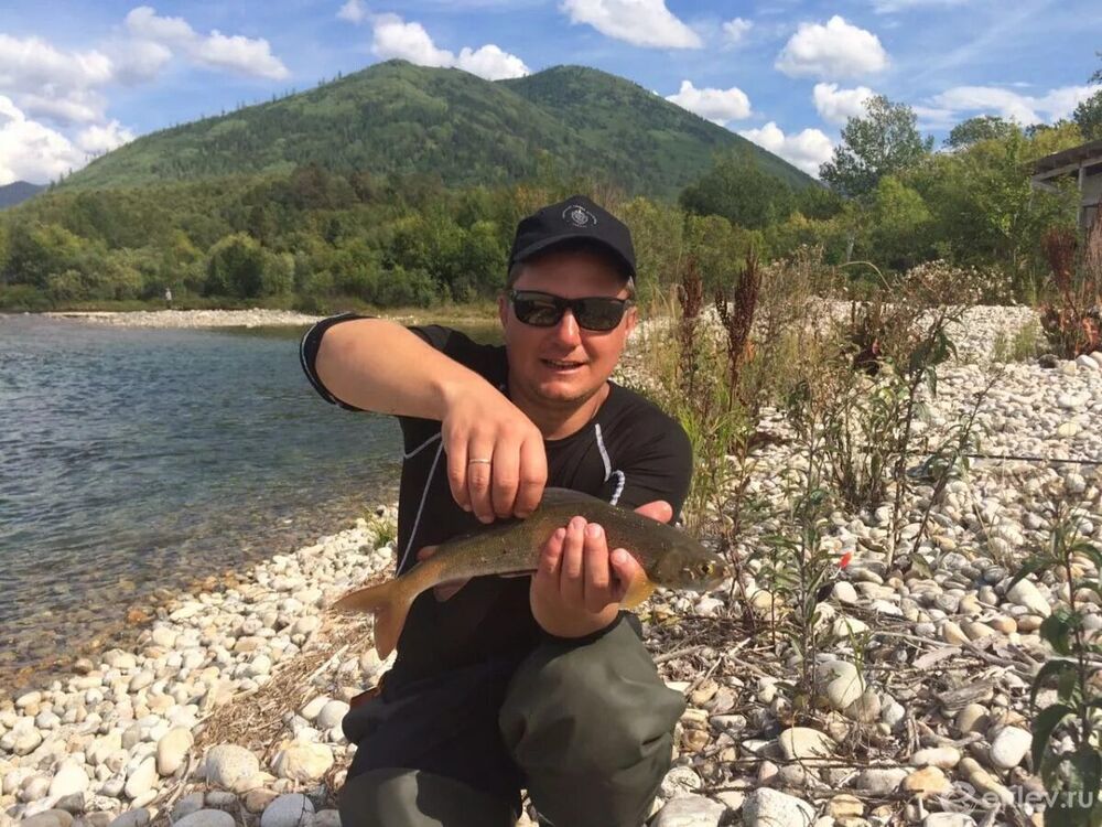 ���� 56034508 ������� Pavel, 43 ����, ���� ���������� � ����������